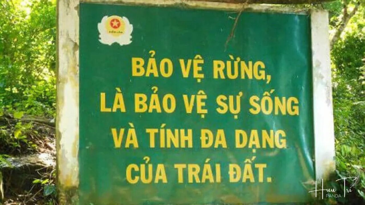 HÃY BẢO VỆ SỰ SỐNG CỦA CHÍNH MÌNH