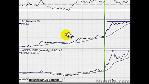 HOT Breakout Stocks To Watch; WWAT 11/08/2007