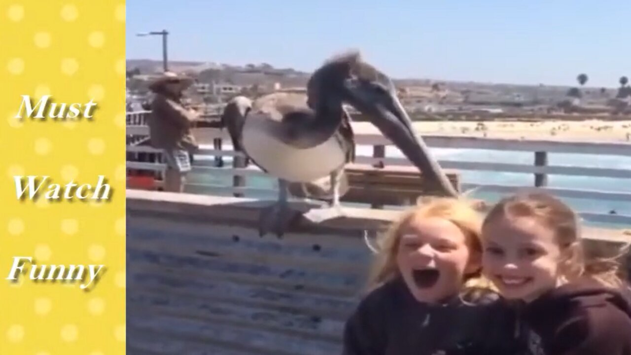 TRY NOT TO LAUGH - The Best Funny Vines Videos of All Time Compilation