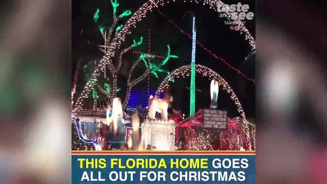 Oakdale Christmas Light Display in St. Petersburg, Florida | Taste and See Tampa Bay