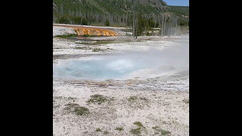 Yellowstone mud por