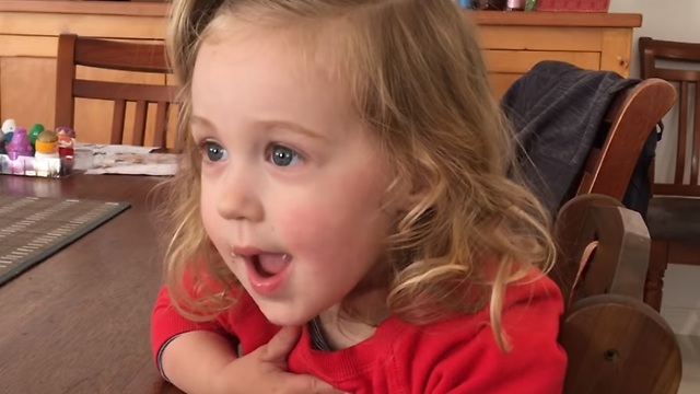 Two-Year Old Is Super Excited To Meet Her Baby Brother