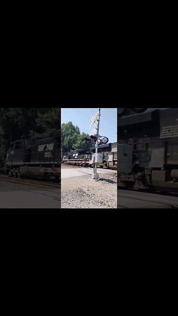 it's the little stinker garbage strain#train #youtubeshorts #revello608 #short