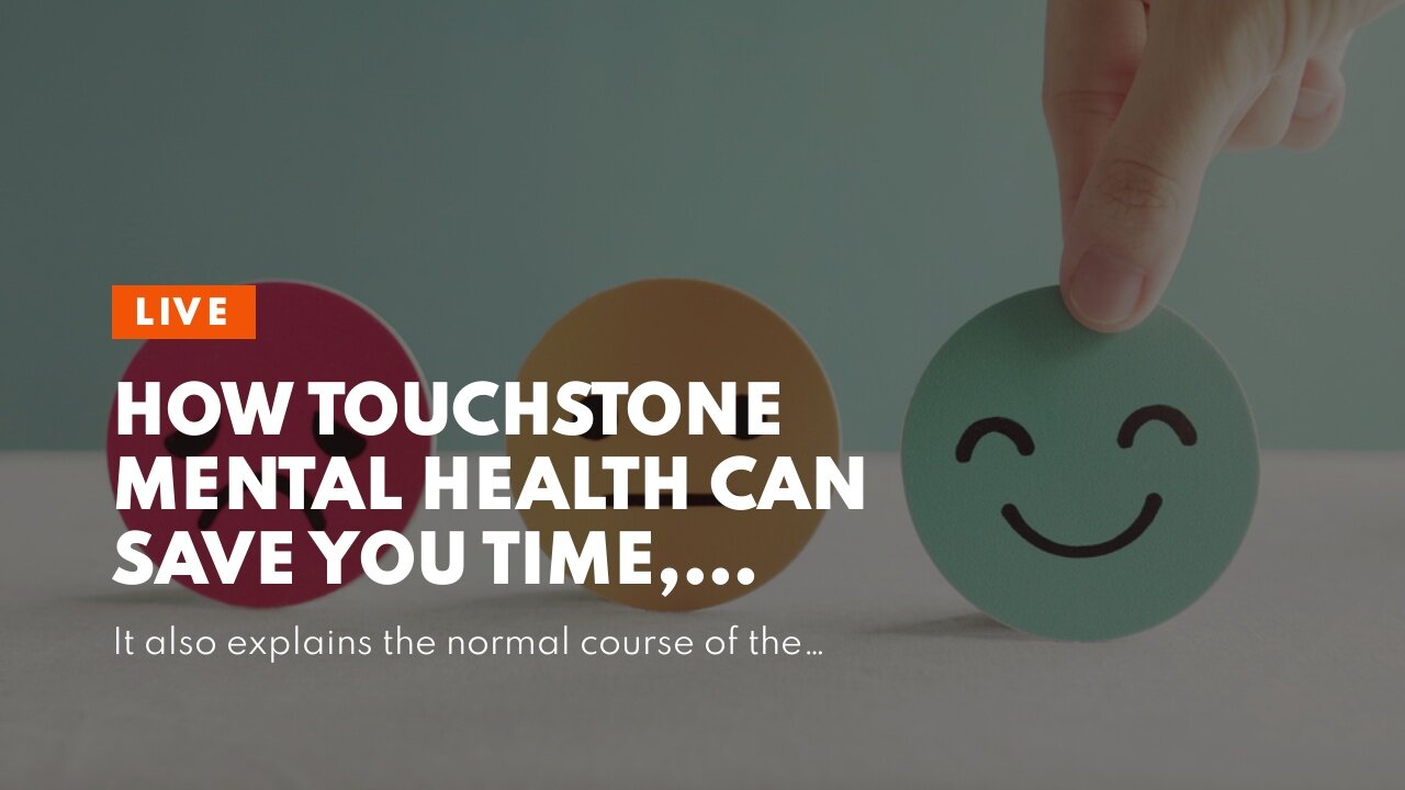 How Touchstone Mental Health can Save You Time, Stress, and Money.