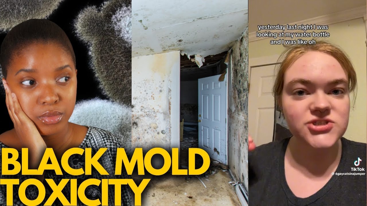 EXPOSING the DANGERS of BLACK MOLD TOXICITY