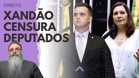 STF ignora CONSTITUIÇÃO e CENSURA mais DOIS DEPUTADOS: BIA KICIS e CABO JUNIO AMARAL, mas POR QUE?