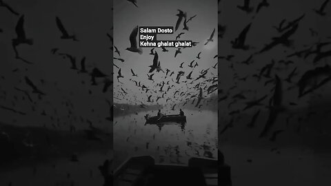 Good day friends | #nusratfatehalikhan