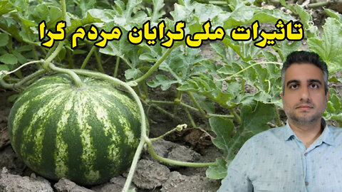 تاثیرات ملی گرایان مردم گرا.