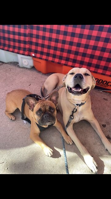 Seeing Potato and Otis’s reactions