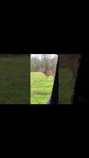 He’s On A STRING To The DSD! Are you SHOOTING or PASSING?!