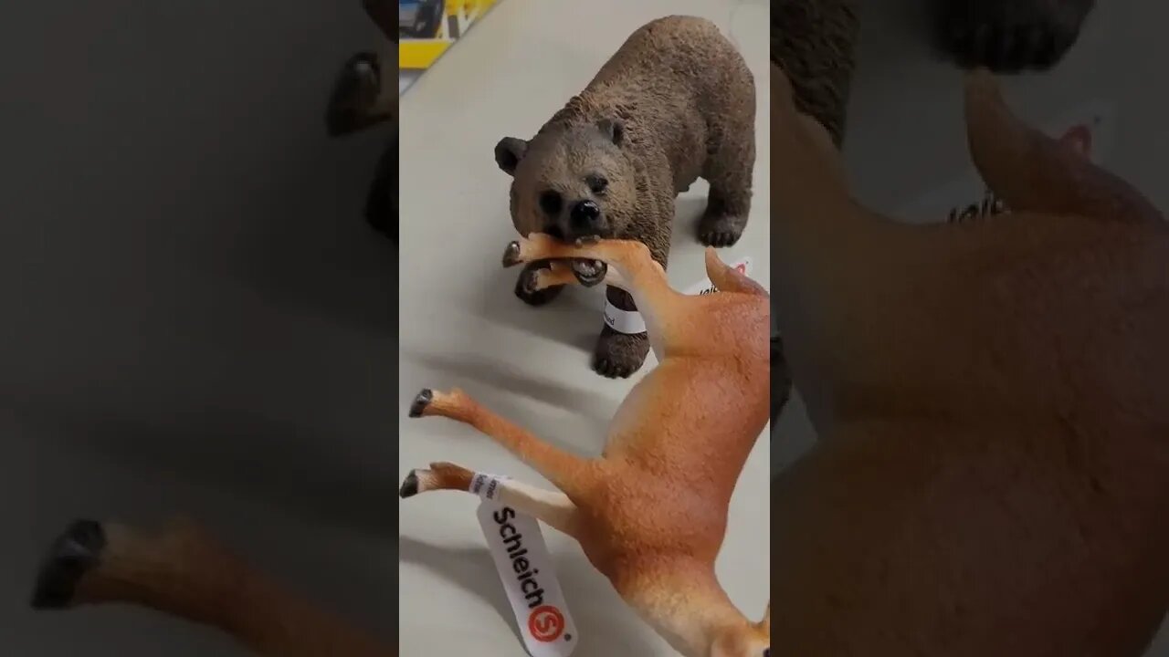wild animals at buymart