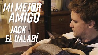 Este amigo está a sólo un salto de distancia