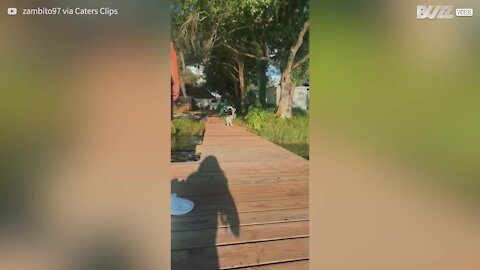 Homem salva cãozinho de cair à água