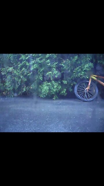 MoeJoe's Band - Somekind of intermission