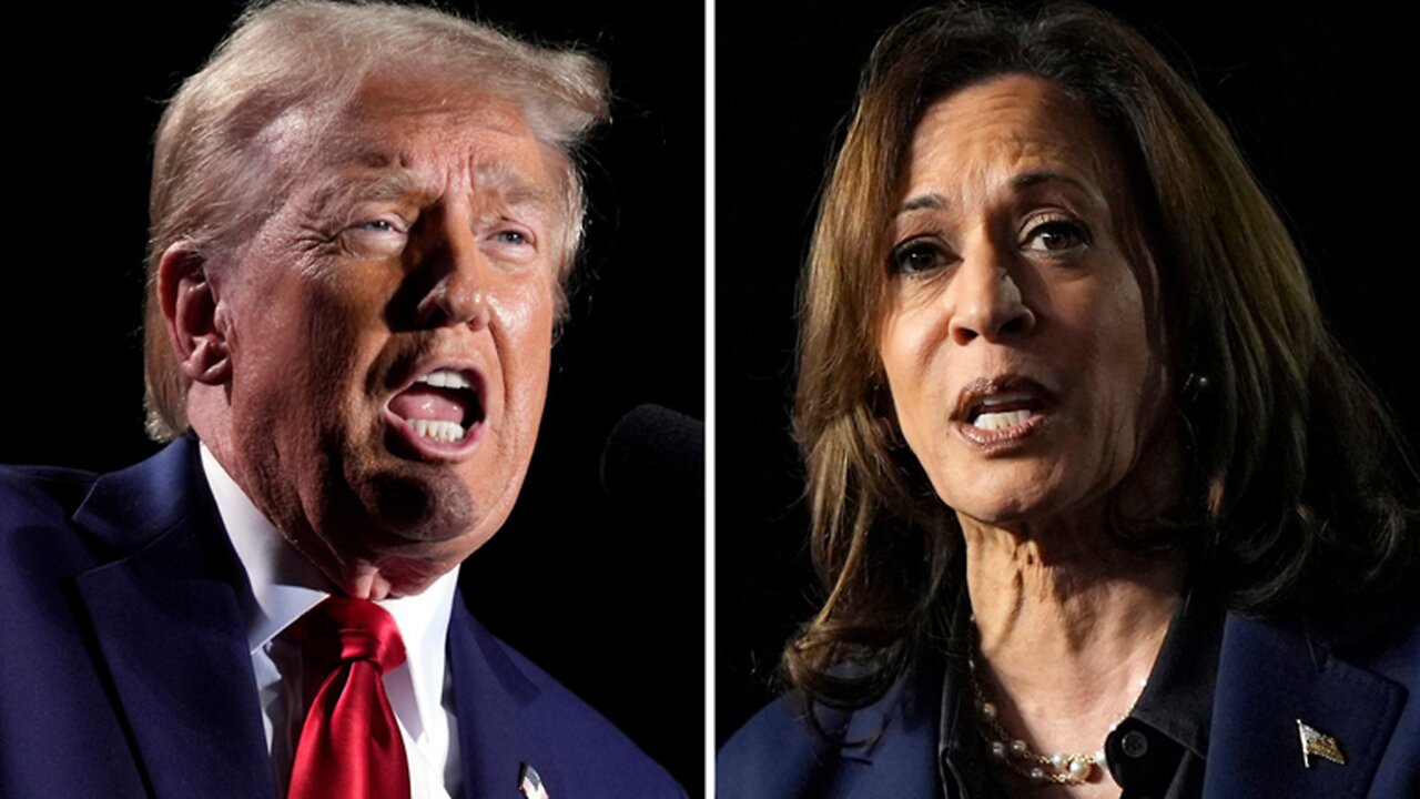 American Presidents Election 2024: What Polls Say About Trump And Harris