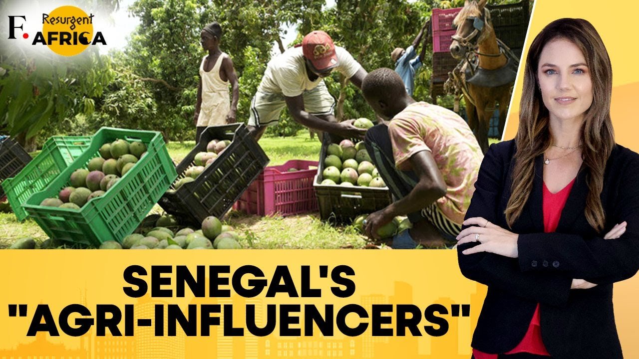 Senegal’s “Agri-influencers” Reboot The World of Farming | Firstpost Africa