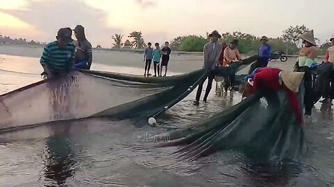 Pull the Beach Seine