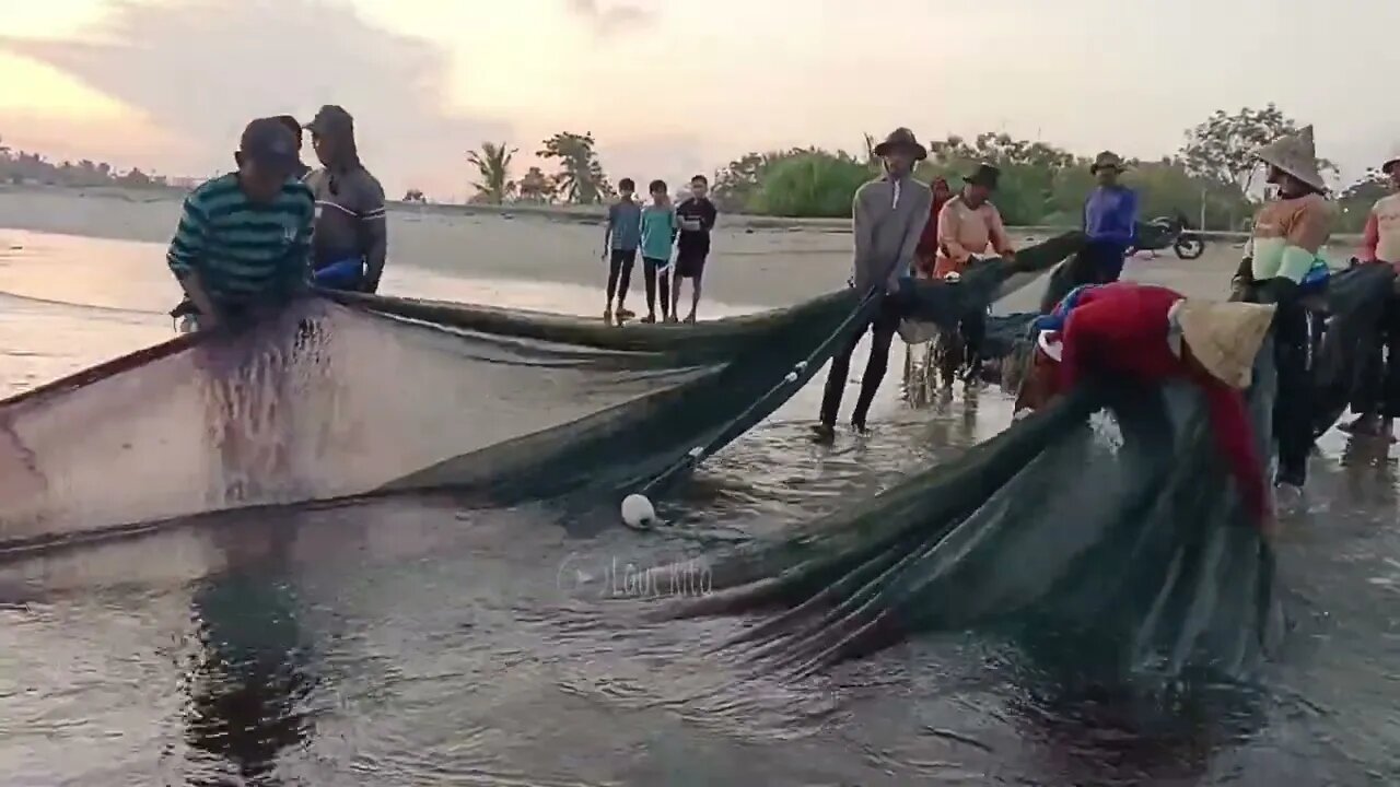 Pull the Beach Seine