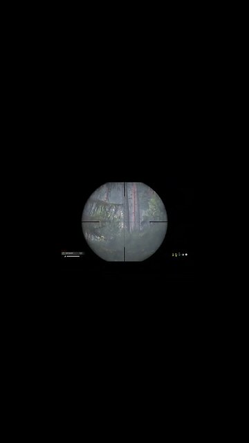 Sniping in dayZ (part eight) #dayzpvp #dayz #dayzgameplay