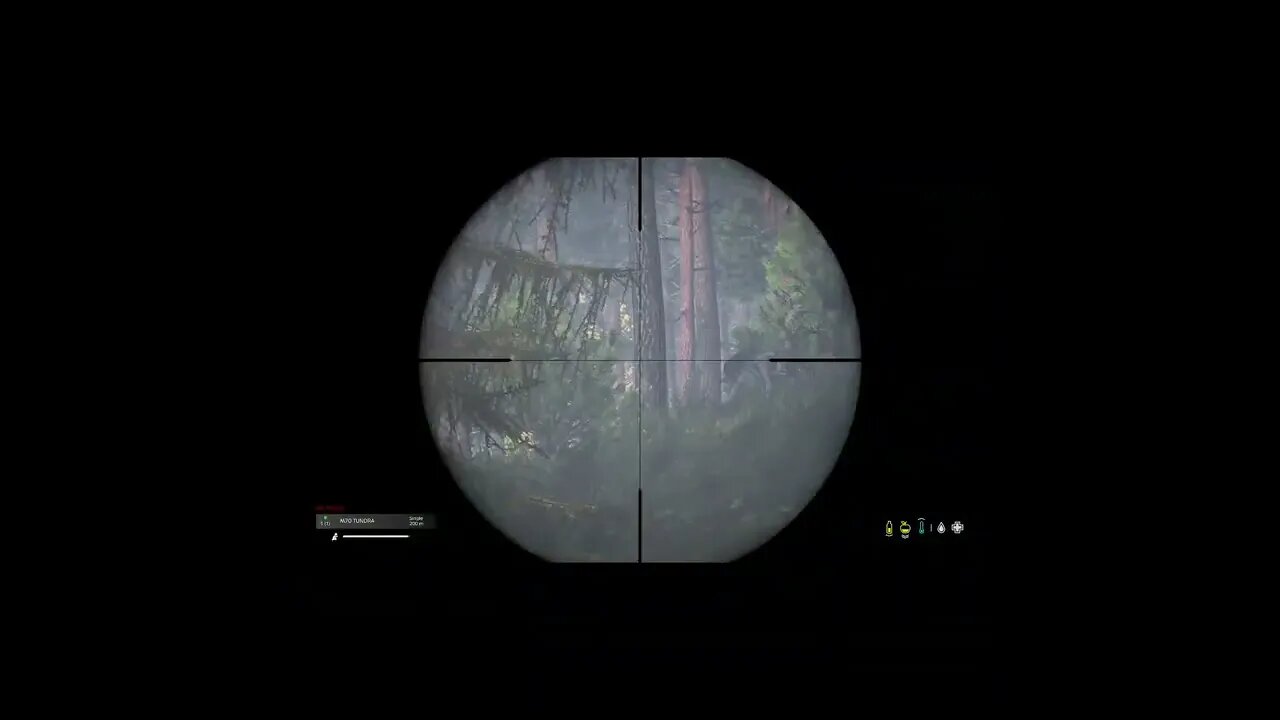 Sniping in dayZ (part eight) #dayzpvp #dayz #dayzgameplay