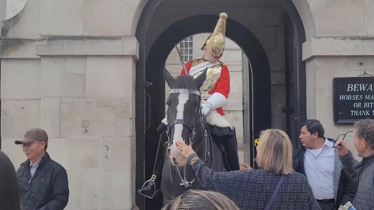 Tourist squeeze the kings guard boot #horseguardsparade