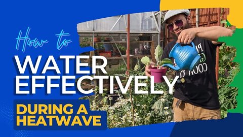 How To Water The Garden Effectively During a Heatwave