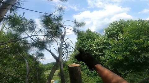 Topping a Quad Pine - First climb since the accident (PT 2)