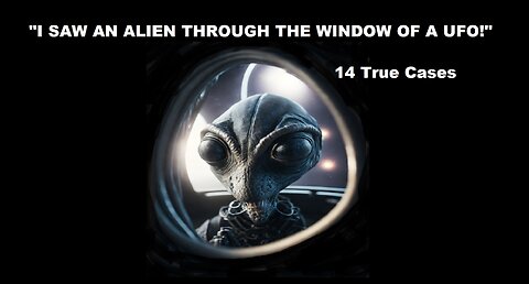 I SAW AN ALIEN THROUGH THE WINDOW OF A UFO