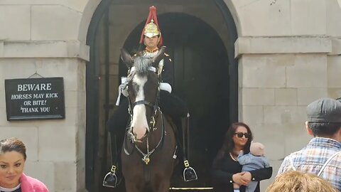 King's guard shouts 3 times at tourist touching the reins #horseguardsparade