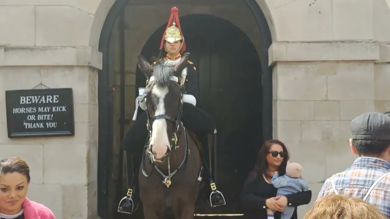 King's guard shouts 3 times at tourist touching the reins #horseguardsparade