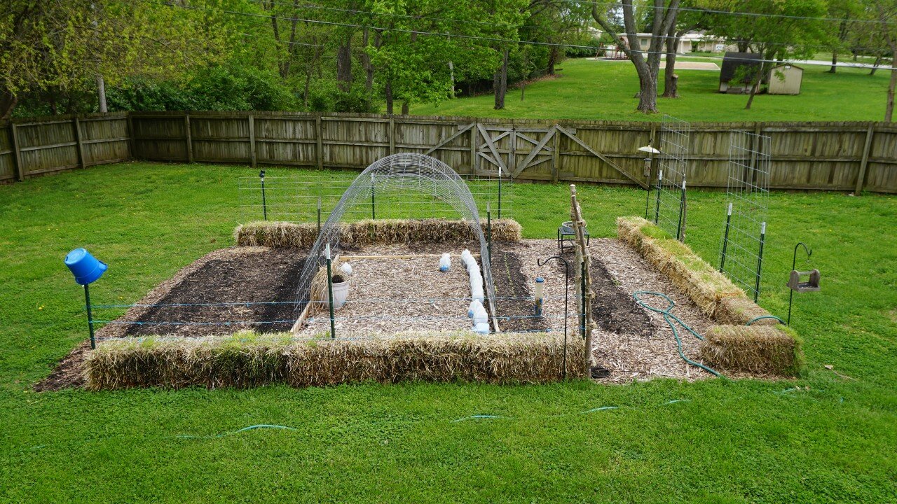 Springfield garden update (work done in March 2022)