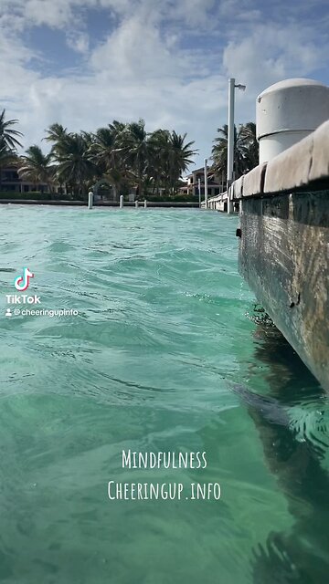 Lifestyle Improvement Club