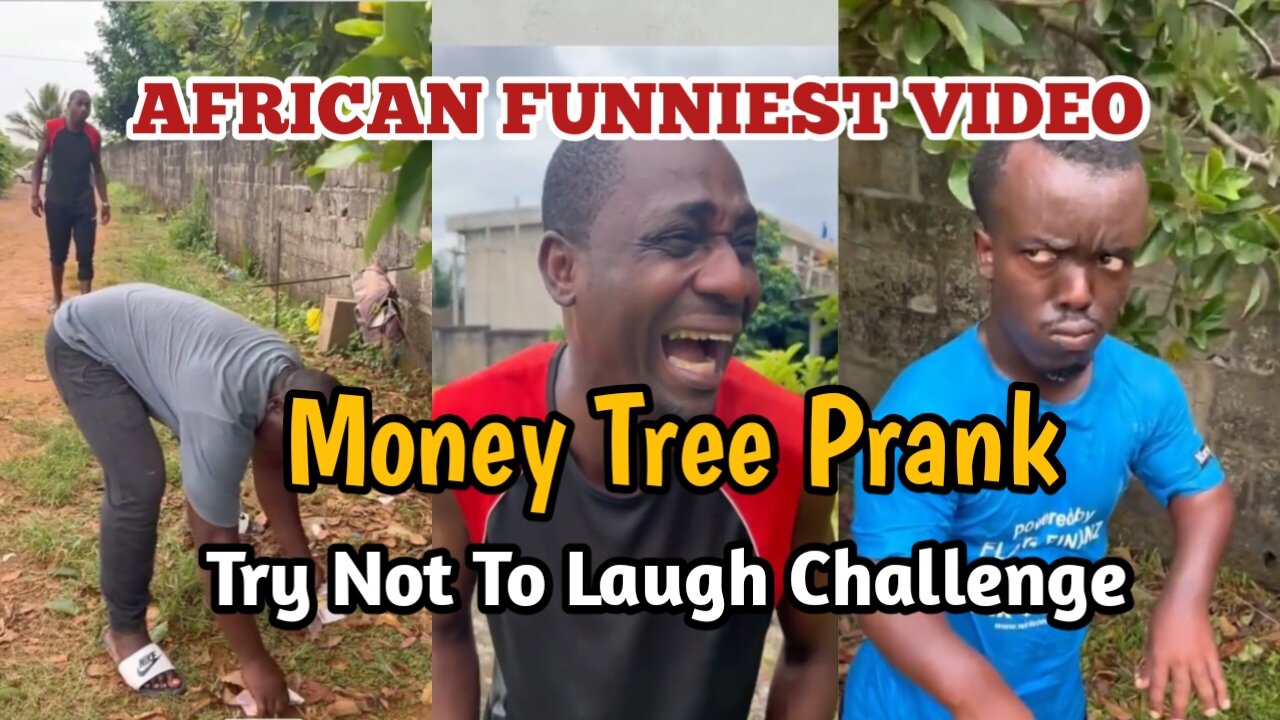 African funniest video | Money Tree Prank | Try not to laugh challenge