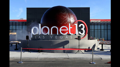 Planet 13 is a massively overvalued hype Stonk.