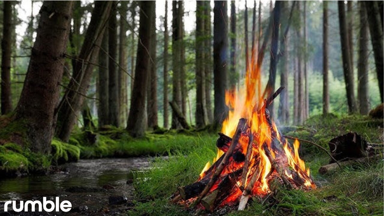 Forest Campfire 🔥Soothing Sounds of Nature 🌲