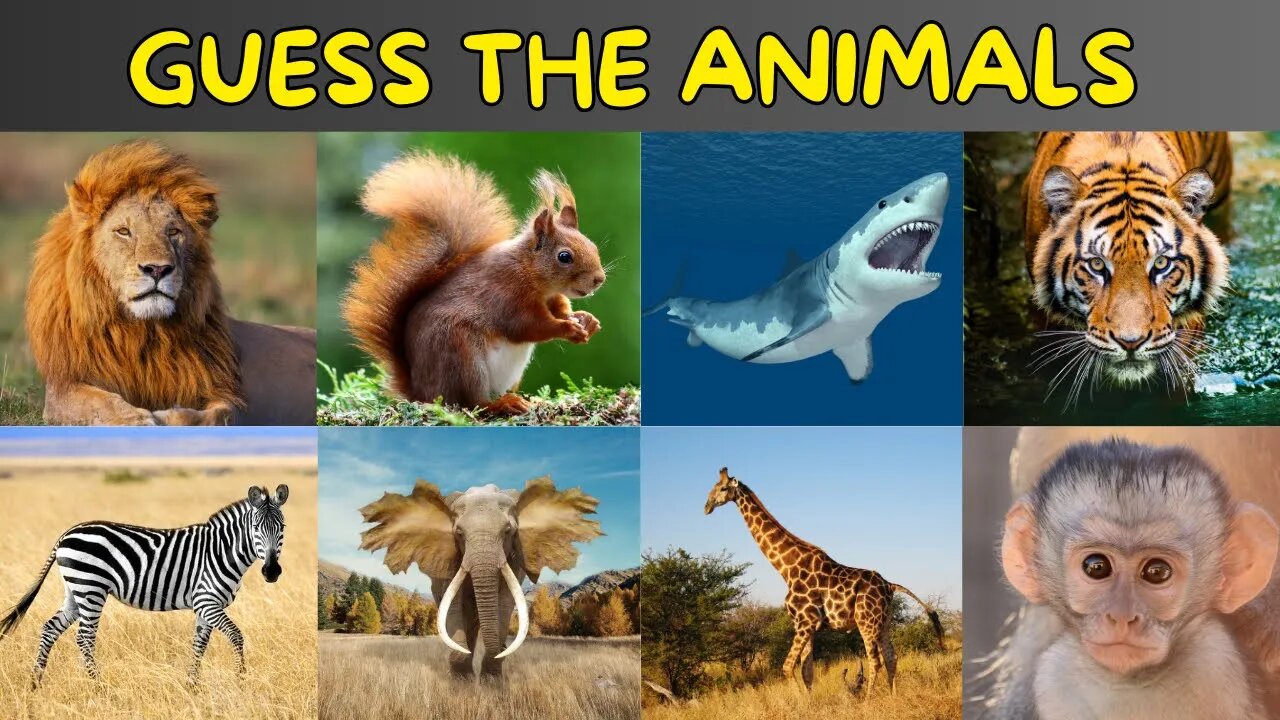 Guess The Animals Quiz | Animals Names