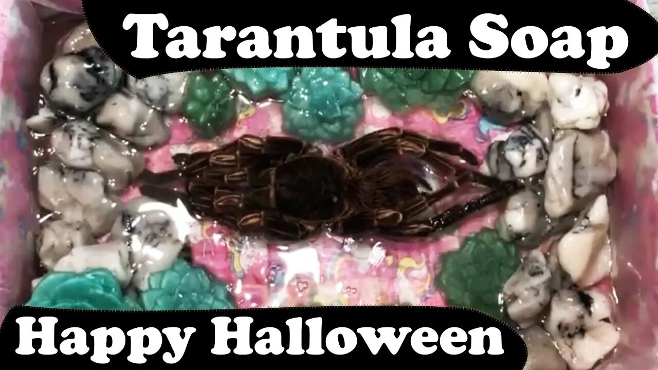 Halloween Soap Making with a Tarantula ~ Spider Soap Making