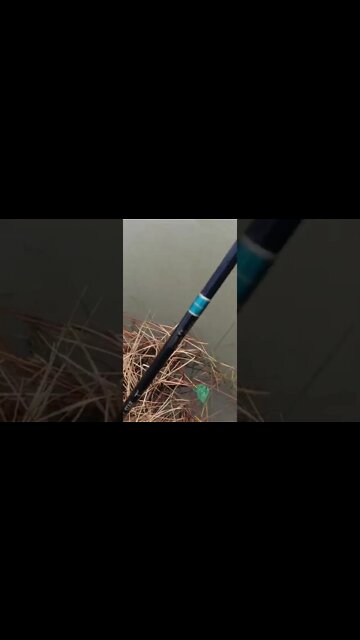 Blowing A Fuse After Losing a GIANT Fish