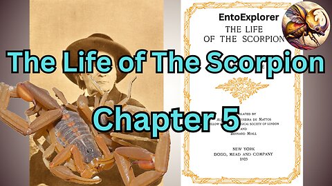 Preludes to the Wedding - Chapter 5 - The Life of the Scorpion by Jean Hen