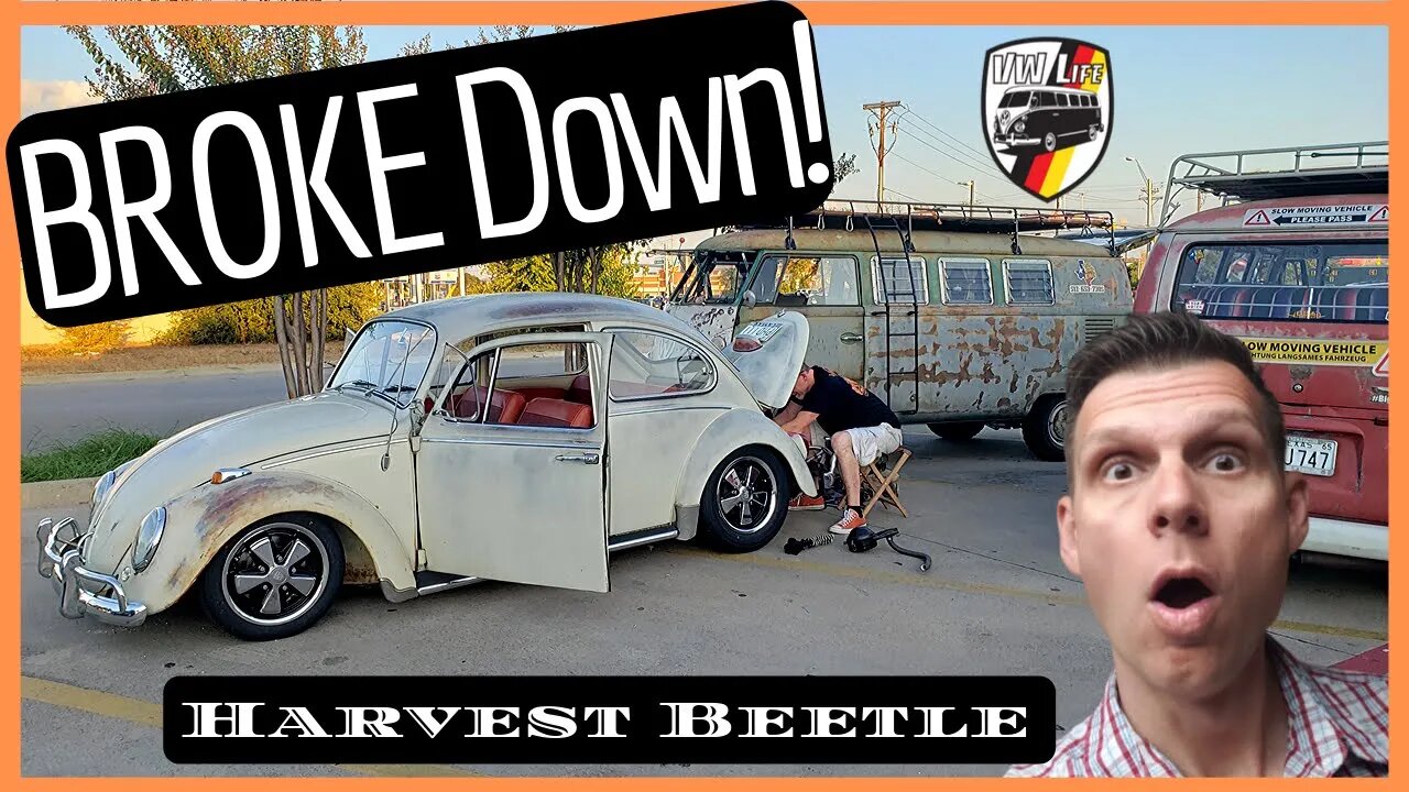 The Harvest Beetle broke down! that's VW Life