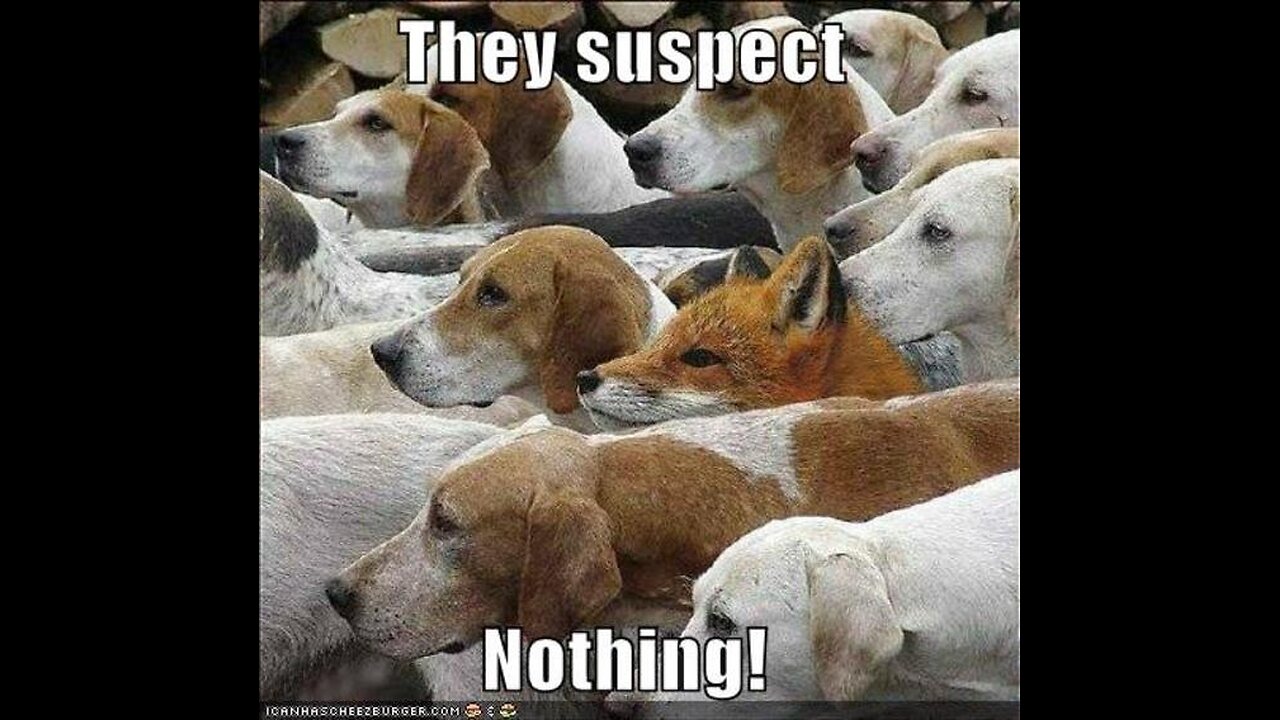 Right in plain sight