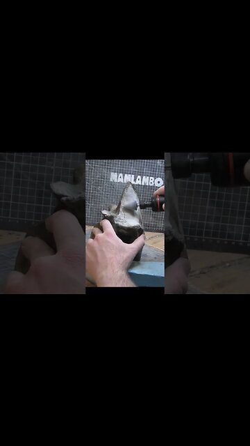 It took me 2 months to reveal this huge fossil bone #fossil #dinosaur #plesiosaur #reptile #nz