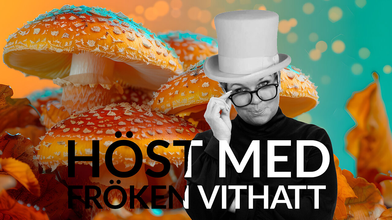 Live- Höst med fröken vithatt 17 sept 2024