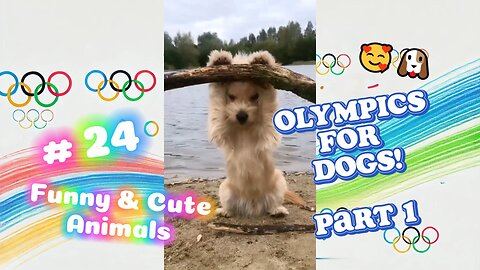 Doggie Olympics Part 1: Pawesome Moves! 🥰💖 ~ The cutest furry athletes! 😍😍😍 #24