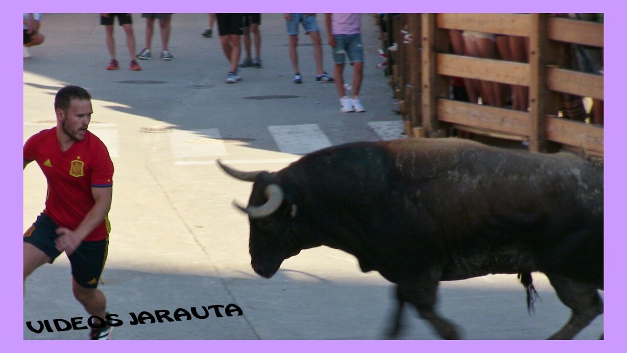 CORTES ( NAVARRA ) TARDE VACAS CALLE ( VIERNES 24 JUNIO 2022 ) ALBERTO ALVAREZ