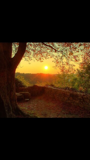 "Nana It's Your Birthday!"