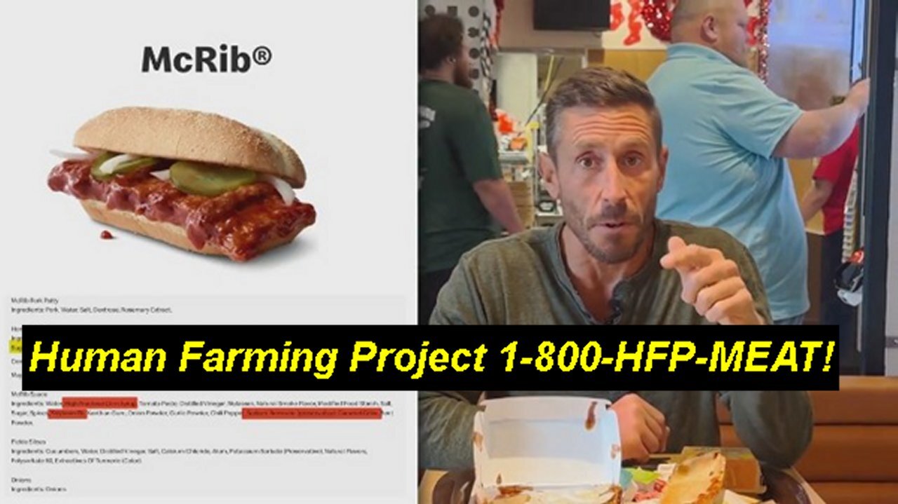 McDonald & Burger Kings Human Farming Project 1-800-HFP-MEAT? [28.06.2024]