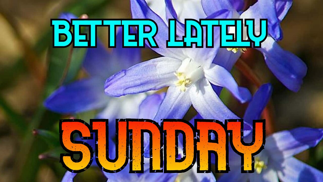 Better Lately - Sunday