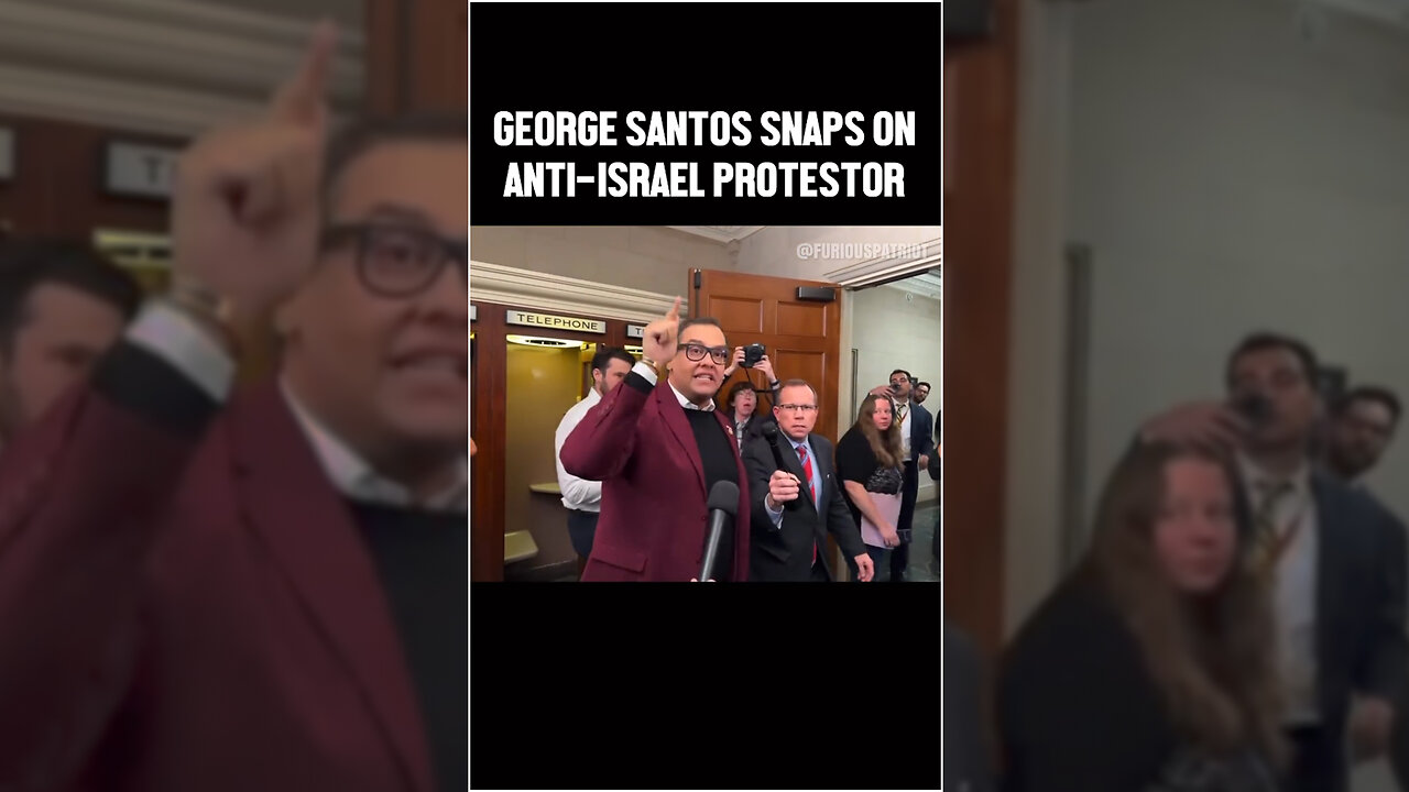 George Santos Snaps On Anti-Israel Protestor