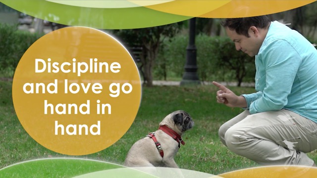 Discipline and love go hand in hand